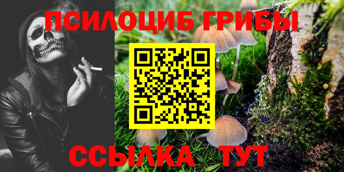 Галлюциногенные грибы Magic Shrooms Ивантеевка